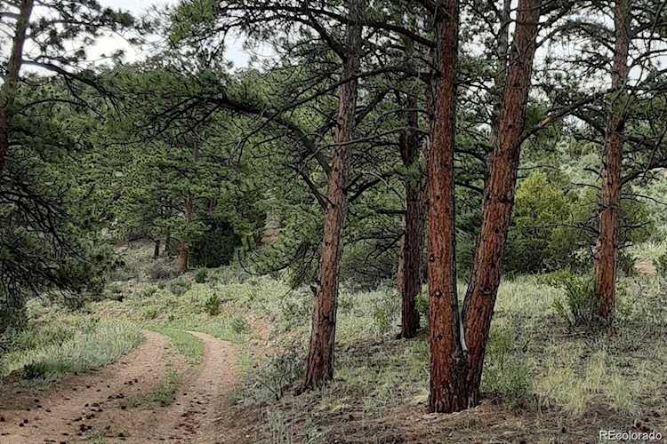 000 Cutter Trl Oak Creek, CO 80467