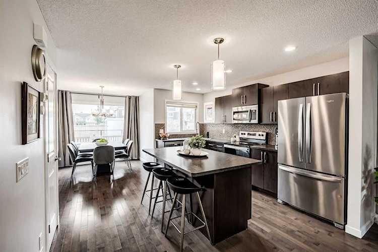 227 Skyview Point Rd NE Calgary, AB T3N 0K6