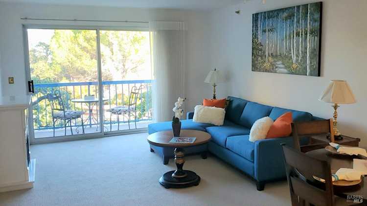 100 Thorndale Drive #255 San Rafael, CA 94903