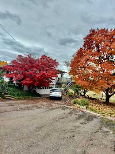 642 Wilson Rd Ashland, OR 97520