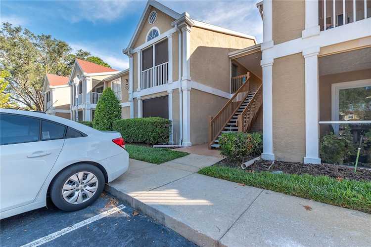 9481 Highland Oak Dr #1814 Tampa, FL 33647