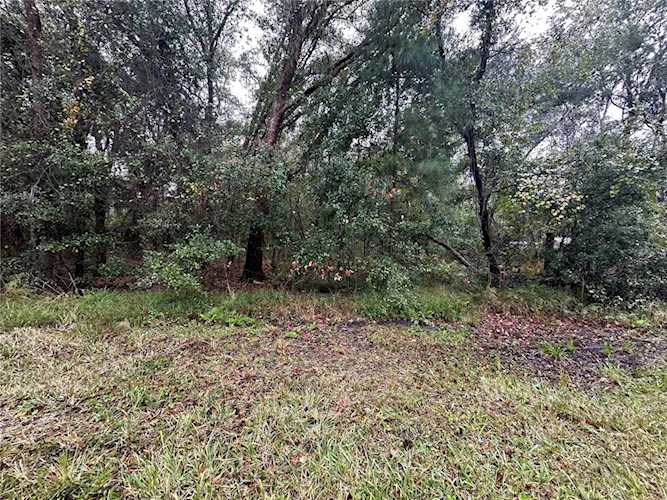TBD NE 108th PLACE Waldo, FL 32694
