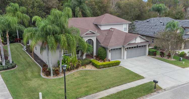 16048 Ivy Lake Dr Odessa, FL 33556