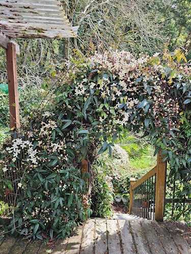 200 Star Hill Rd Woodside, CA 94062
