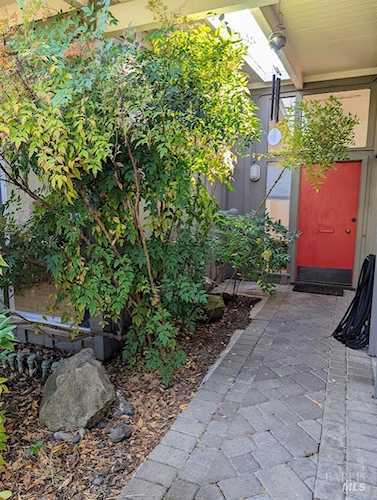 565 Woodbine Drive San Rafael, CA 94903