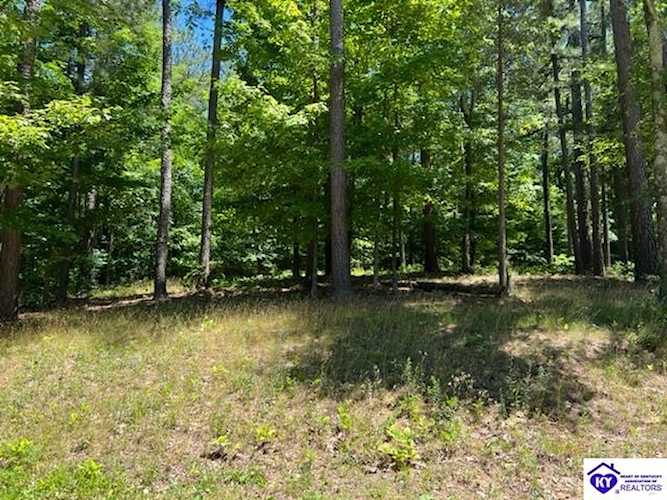 309 Marina Point Lane Falls Of Rough, KY 40119
