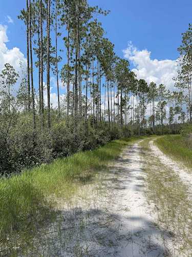 Tract 79 Circle Block Loop Perry, FL 32348