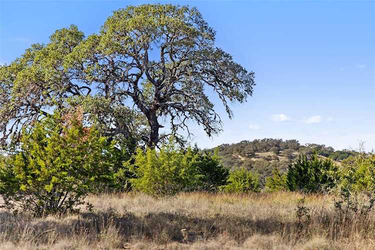 963 Summit Ridge Trail DR Johnson City, TX 78636