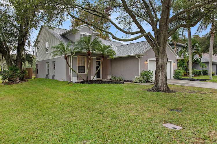 423 Cypress View Dr Oldsmar, FL 34677
