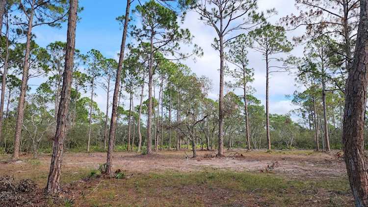 TBD Yates Creek Rd Keaton Beach, FL 32348