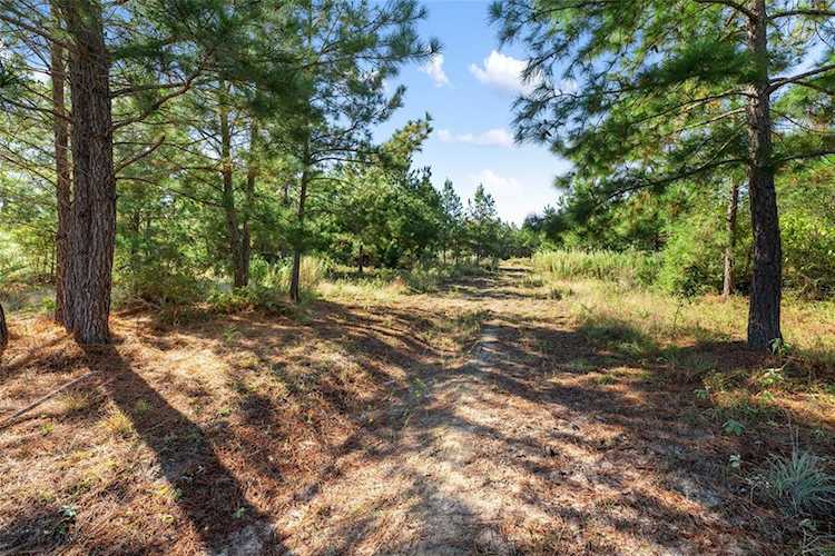 302 Pine Tree LOOP Bastrop, TX 78602