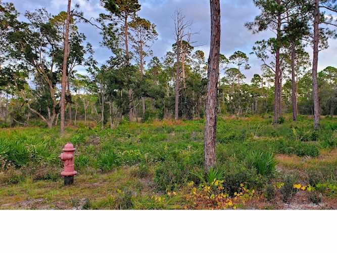 Lot 6 Ramsey Way Ochlockonee Bay, FL 32346