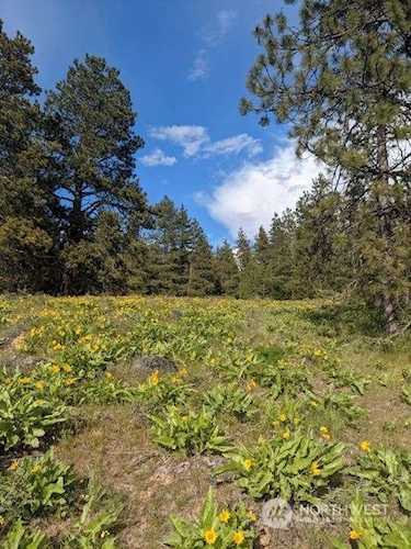 9356 Thorp Prairie Rd Cle Elum, WA 98922