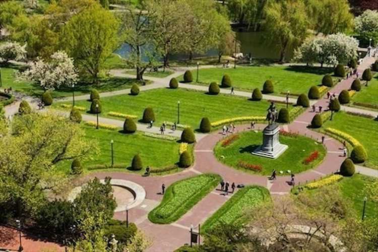 2 Commonwealth Avenue #15F Boston, MA 02116