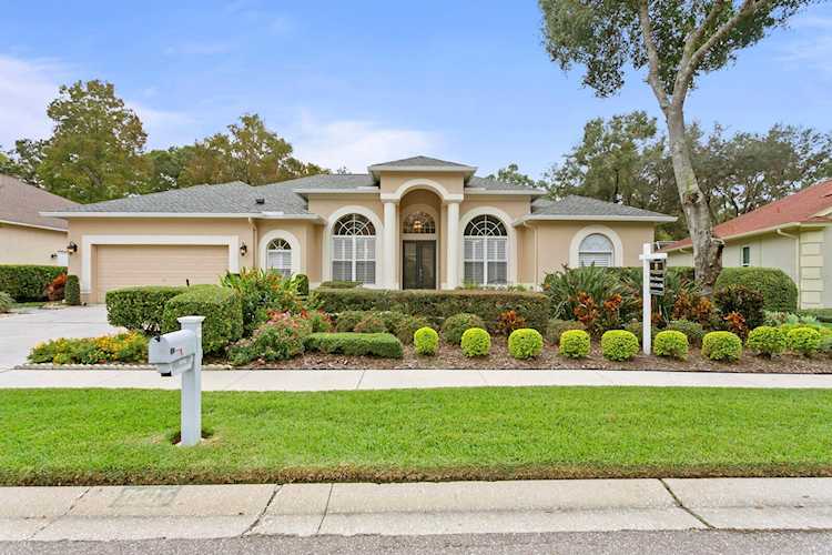 7115 Wareham Dr Tampa, FL 33647
