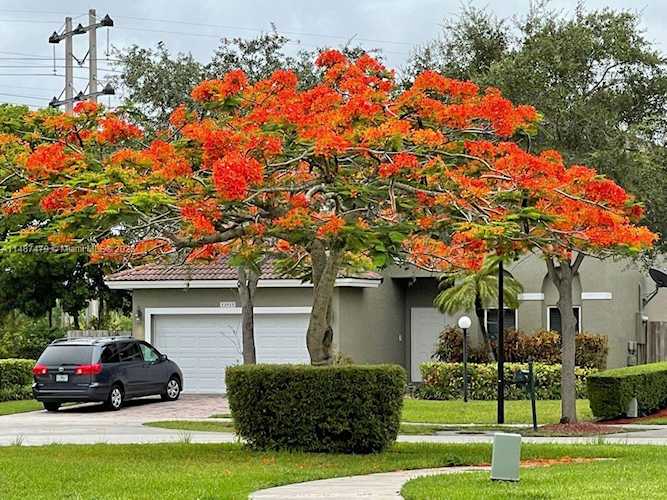 12920 SW 143rd Ter #12920 Miami, FL 33186