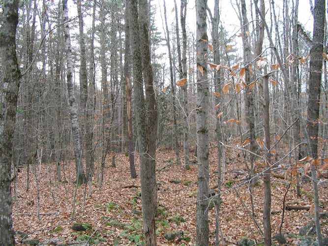0 Old Chesham Rd Nelson, NH 03452