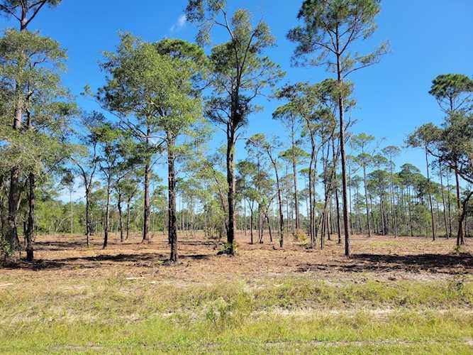 Lot 8 Ramsey Way Ochlockonee Bay, FL 32346