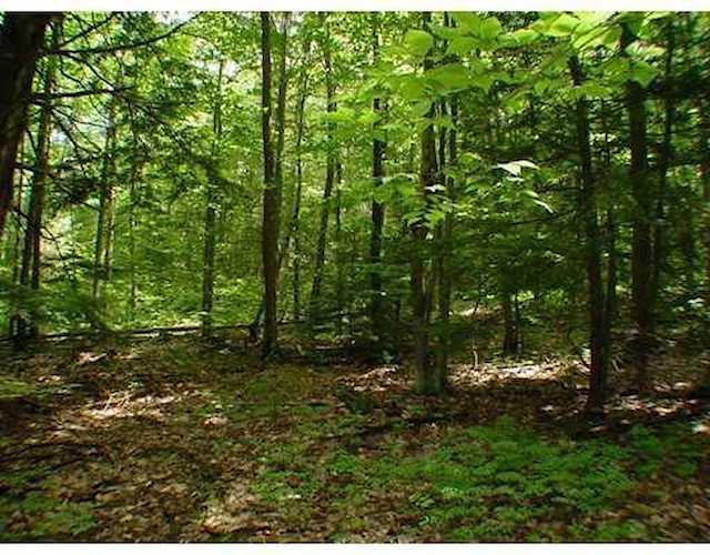 Lot 5 Maplecrest Rd Parsonsfield, ME 04047 | MLS 1577851 Photo 1