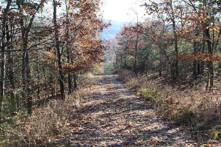 1 Kingdom Springs Rd Flippin, AR 72634