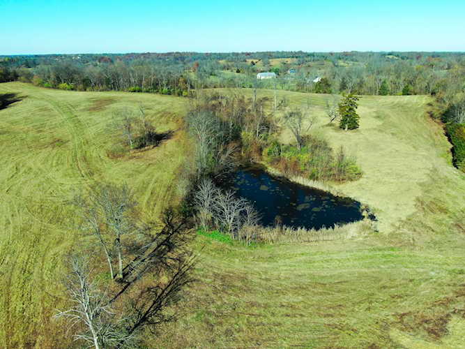 1 Davis Ln Cynthiana, KY 41031