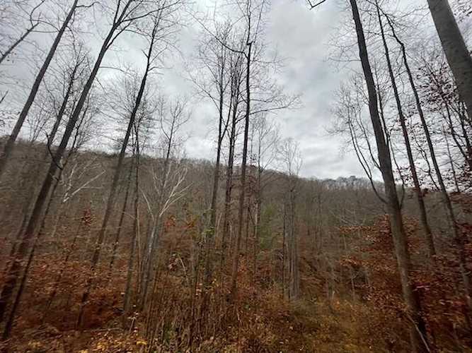 0 Lower Cane Creek Rd Stanton, KY 40380