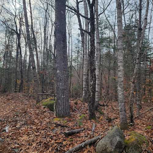 12-7 Hardwood Ridge Rd Deblois, ME 04622