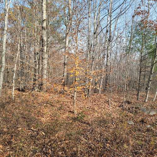 12-2 Eleanor Mae Rd Deblois, ME 04622