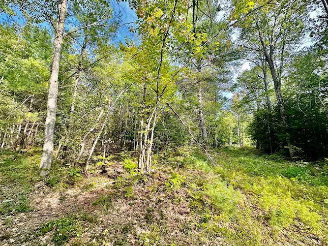 6 Berry Rd Sebago, ME 04092
