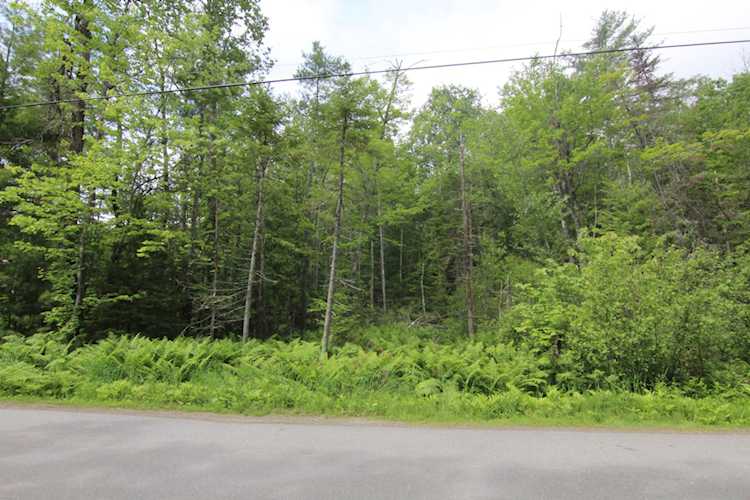 Lot 37C Brewer Lake Rd Orrington, ME 04474