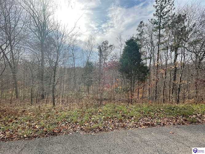 Tract 3 Burton Huff Rd, Falls Of Rough, KY 40119 - $63,000 Photo 1