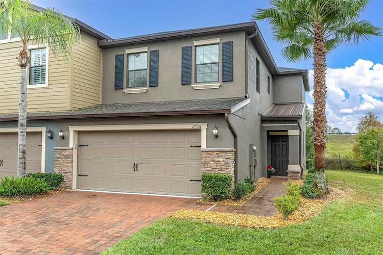 17301 Old Tobacco Rd Lutz, FL 33558