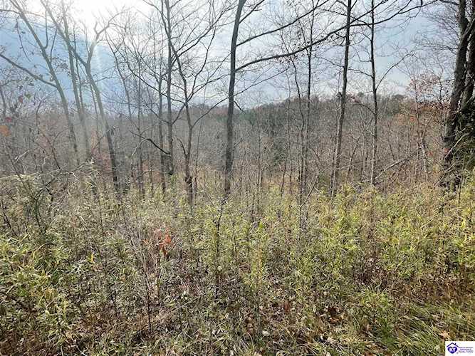Tract 4 Burton Huff Rd, Falls Of Rough, KY 40119 - $49,500 Photo 1