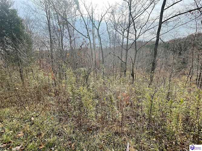 Tract 5 Burton Huff Rd, Falls Of Rough, KY 40119 - $49,500 Photo 1