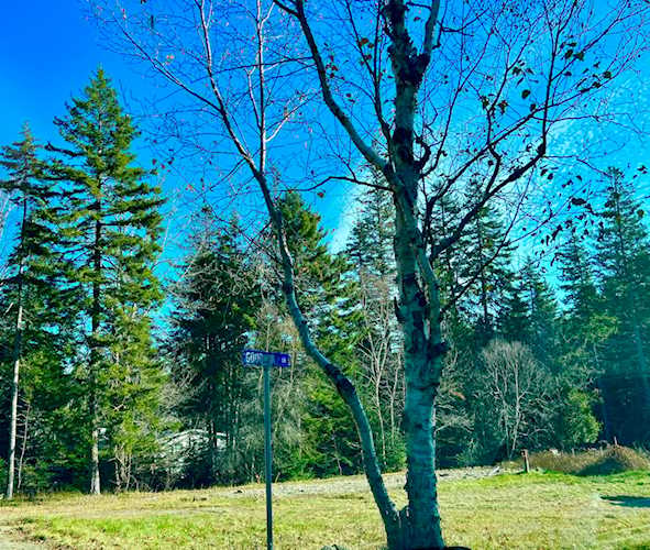 56 Dodge Point Rd Tremont, ME 04674