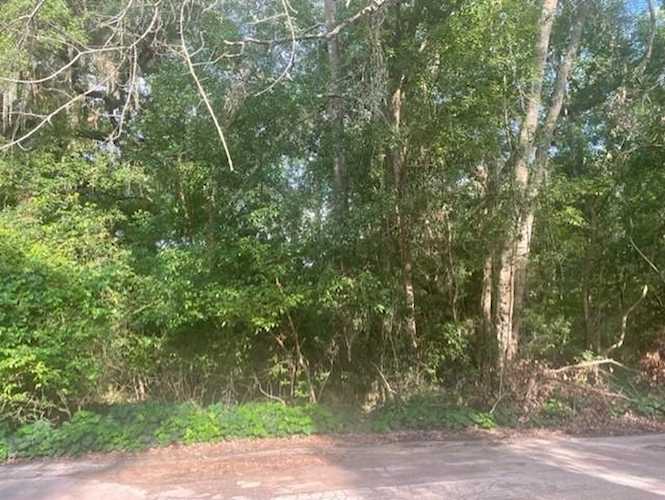 0 Lake Iamonia Dr Tallahassee, FL 32312 in Kinhega Estates Photo 1