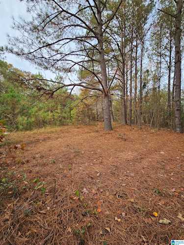 0 Highway 82 #lot1 Lawley, AL 36793