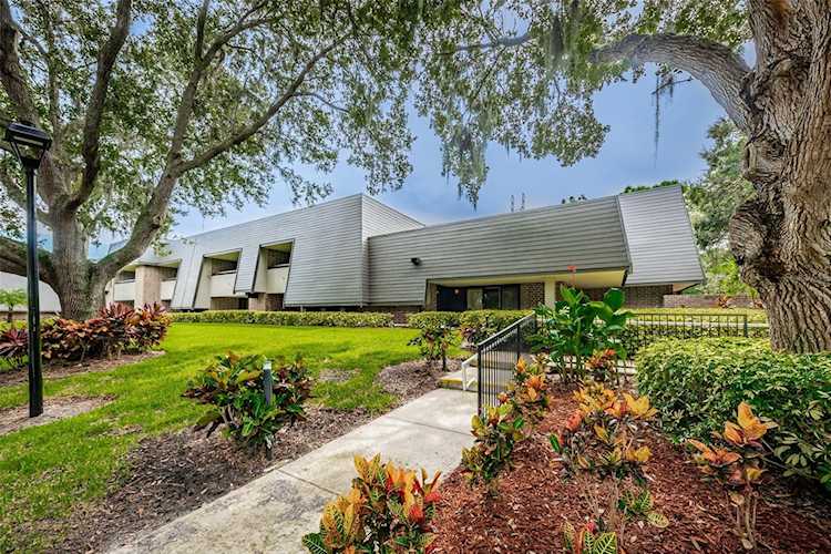 36750 Us Highway 19 N #9-104 Palm Harbor, FL 34684