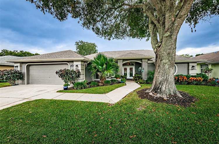 2692 Saddlewood Ln Palm Harbor, FL 34685