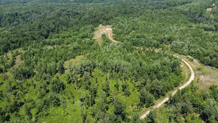0 Hurricane Creek Road Tennessee Ridge, TN 37178