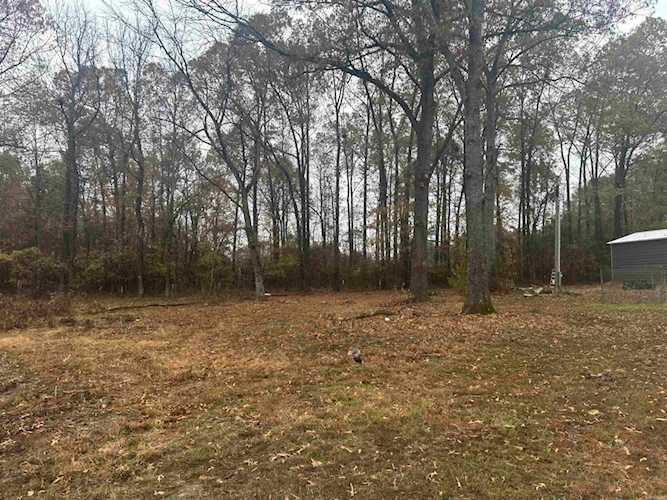 9788 Lulu Ln Benton, AR 72019