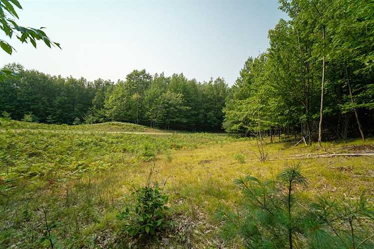 Outback Ridge Manistee Twp, MI 49660