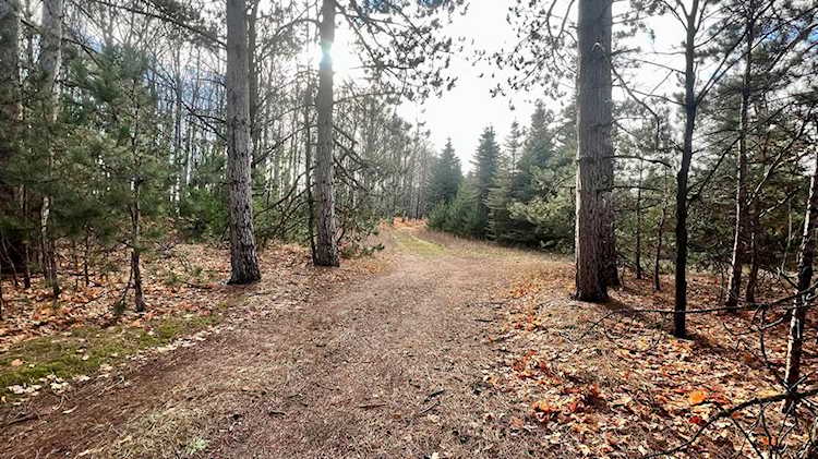 74 Acres 16 Mile Road Colfax Twp, MI 49663 | MLS 72023142754 Photo 1