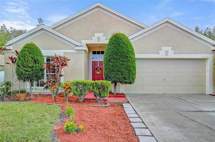 30728 Iverson Dr Wesley Chapel, FL 33543