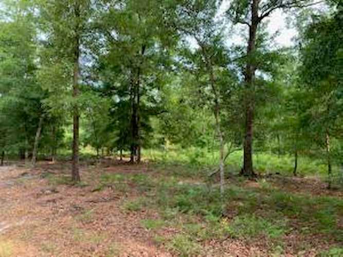 Home For Sale in None Hollywood Charleston. 0 Chaplins Landing Rd.| Matt O’Neill Real Estate Photo 1