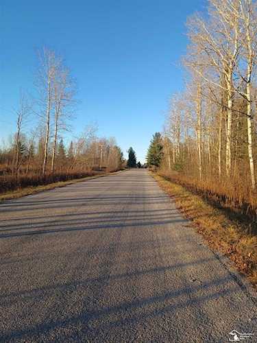 2425 Buhl Mikado Twp, MI 48742