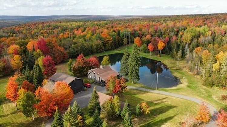 3145 State Rd Castle Hill, ME 04757