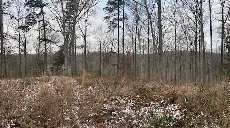 Lot 7 Sandstone Point Monticello, KY 42633 Photo 1