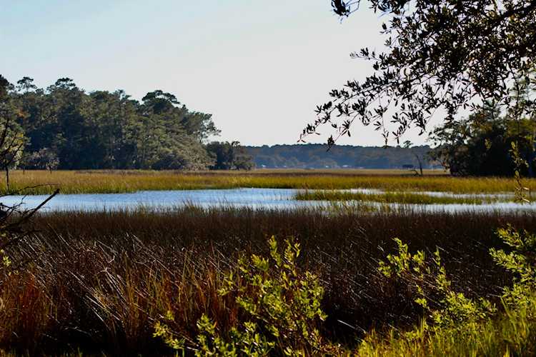 5742 Chisolm Road Johns Island, SC 29455