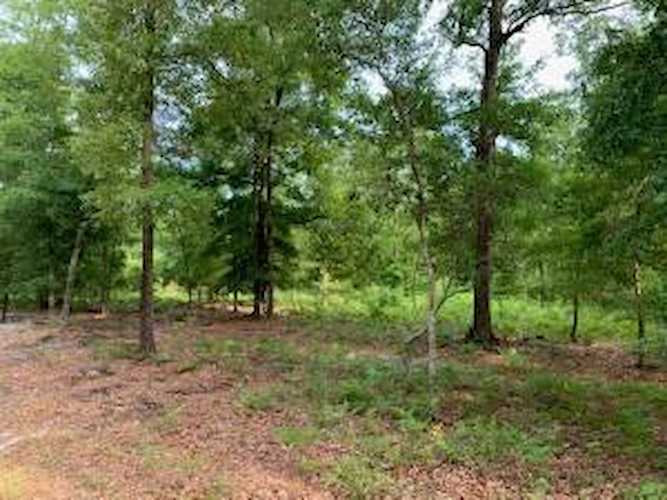 Home For Sale in None Hollywood Charleston. 2 Chaplins Landing Road.| Matt O’Neill Real Estate Photo 1